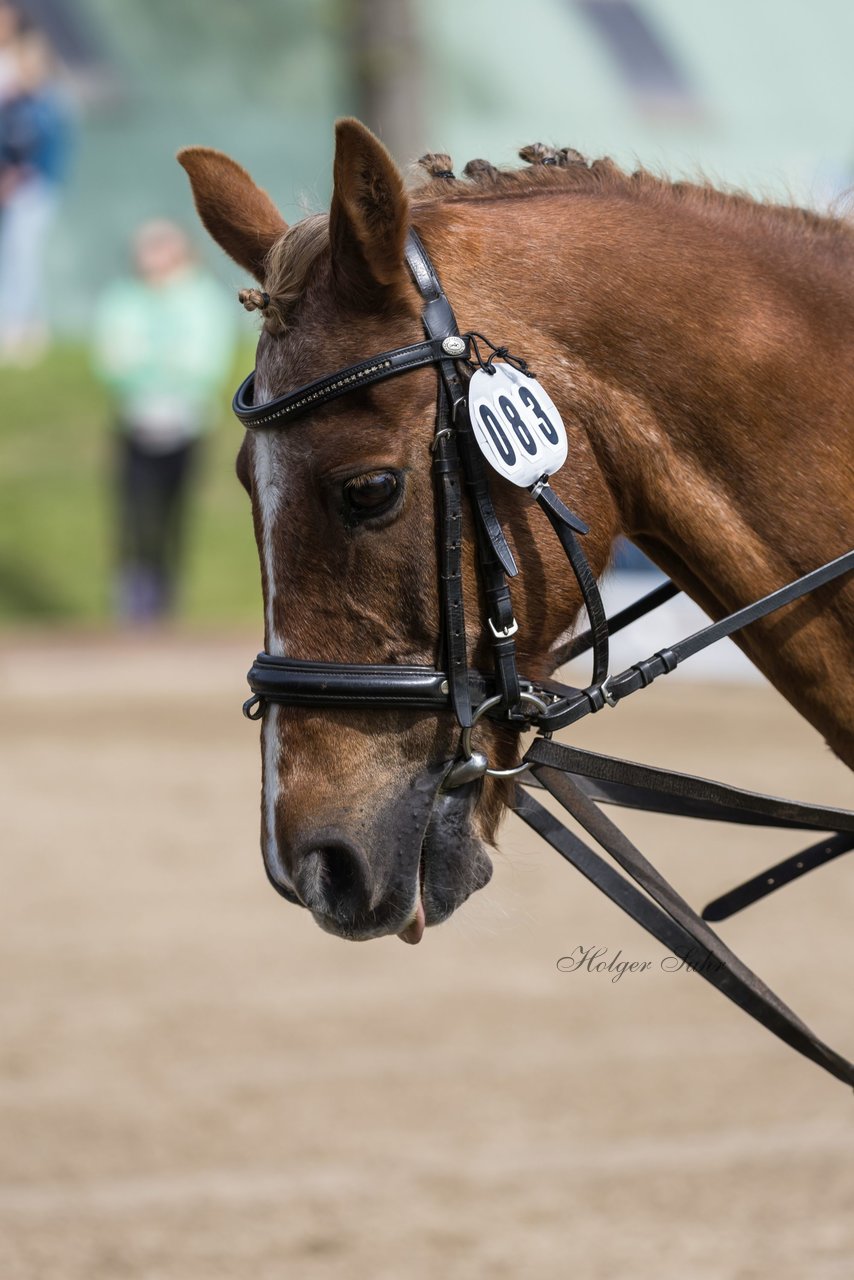 Bild 91 - Pony Akademie Turnier